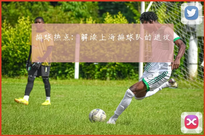 排球热点：解读上海排球队的进攻
