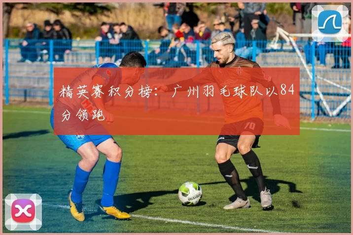 精英赛积分榜：广州羽毛球队以84分领跑