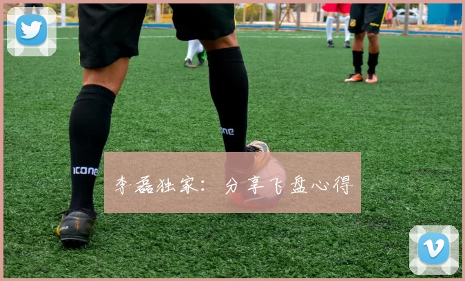 李磊独家：分享飞盘心得