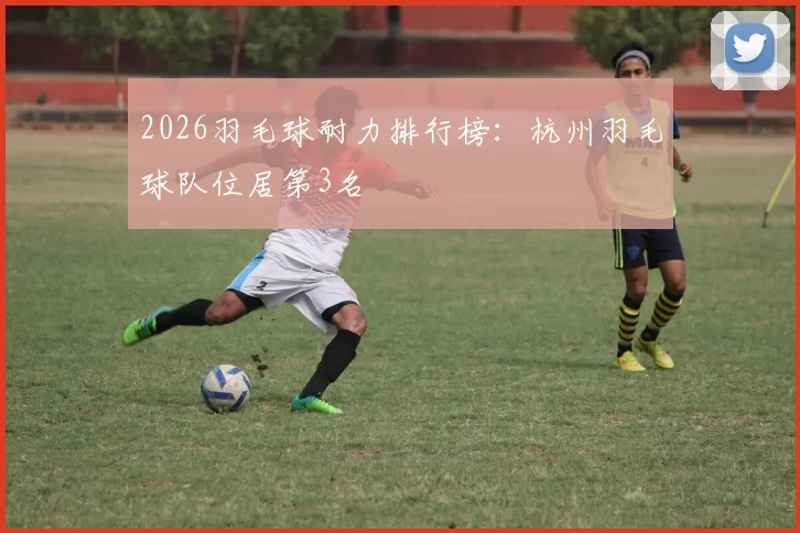 2026羽毛球耐力排行榜：杭州羽毛球队位居第3名