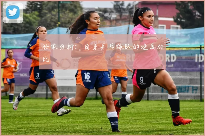 独家分析：南京乒乓球队的速度对比