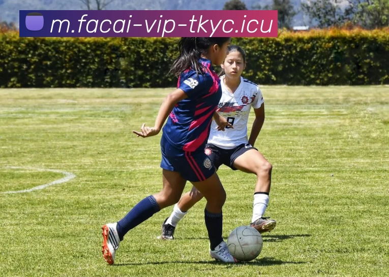 [--classpath--]/a[--id--]-[--page--].html平台生态图